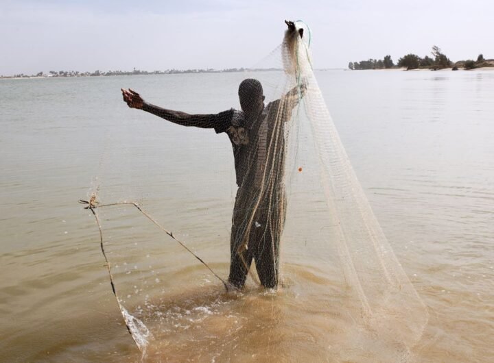 Desafíos de la pesca artesanal en Mauritania