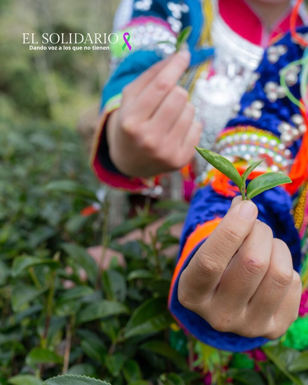 Aumentan desalojos de comunidades rurales en Guatemala