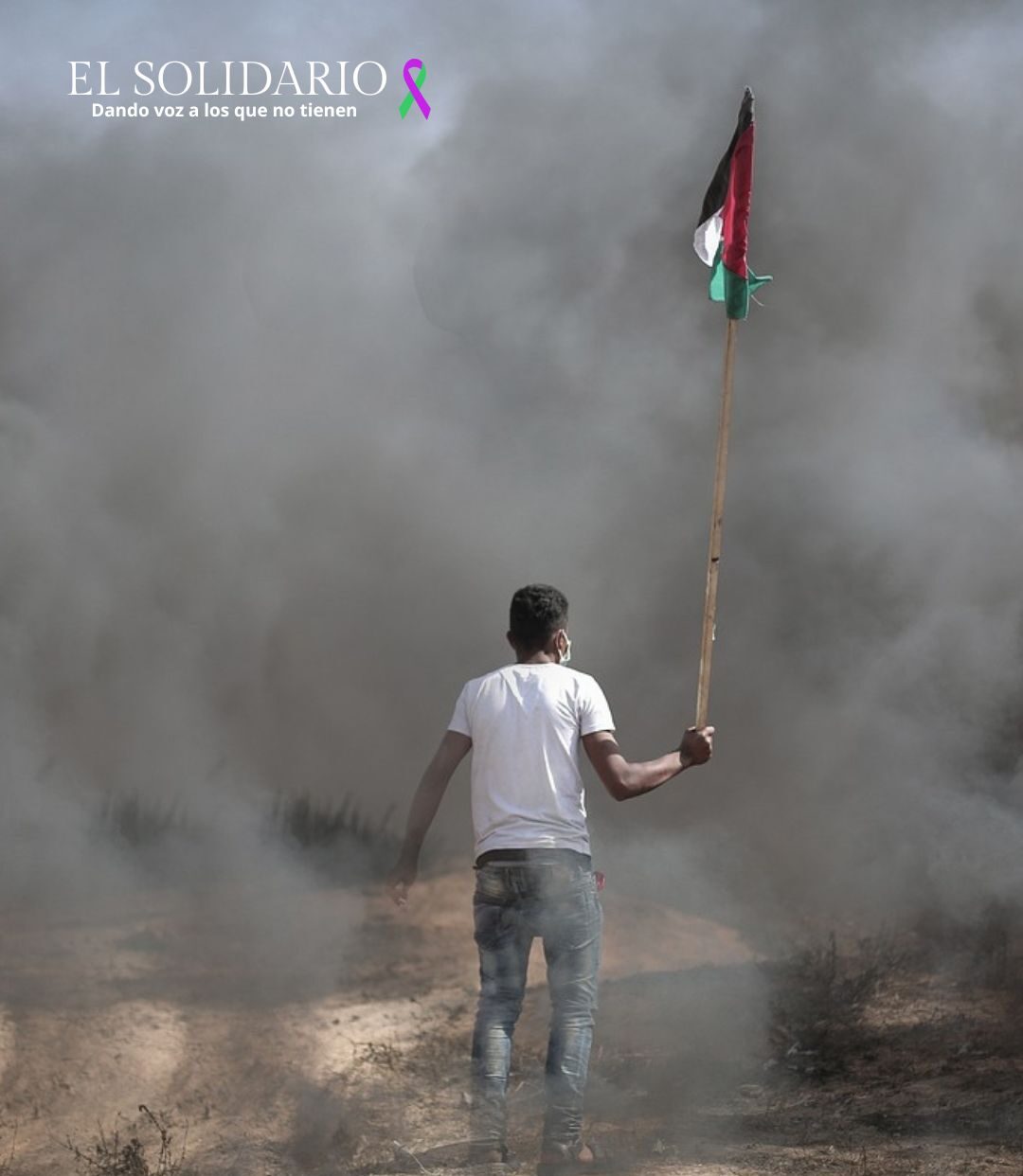 Gaza: Devastación ambiental y futuro imposible