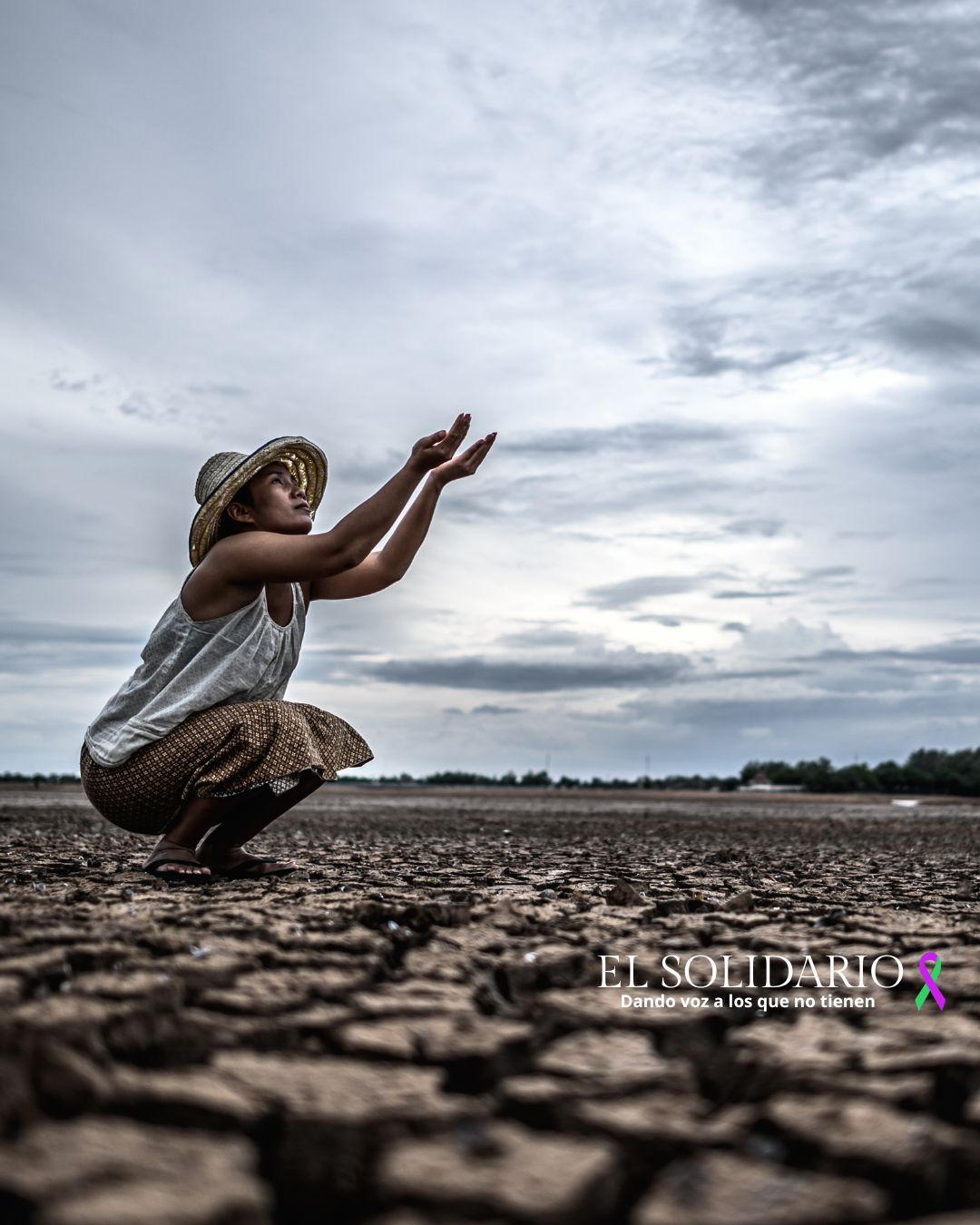 Arde el planeta por aumento de media de calor