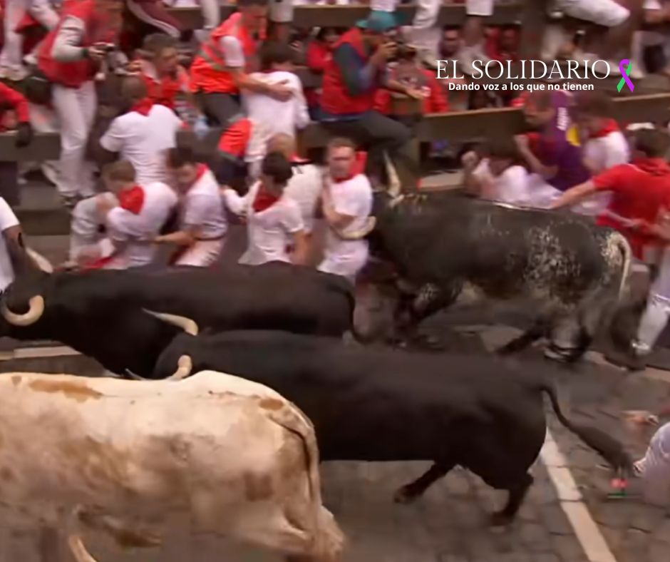 PACMA quiere denunciar a RTVE por vulnerar derechos de los niños durante la emisión de los encierros de San Fermín. Los toros de Victoriano del Río han dejado 104 heridos en el tercer encierro.