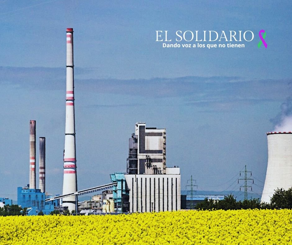 Planta de biocombustible