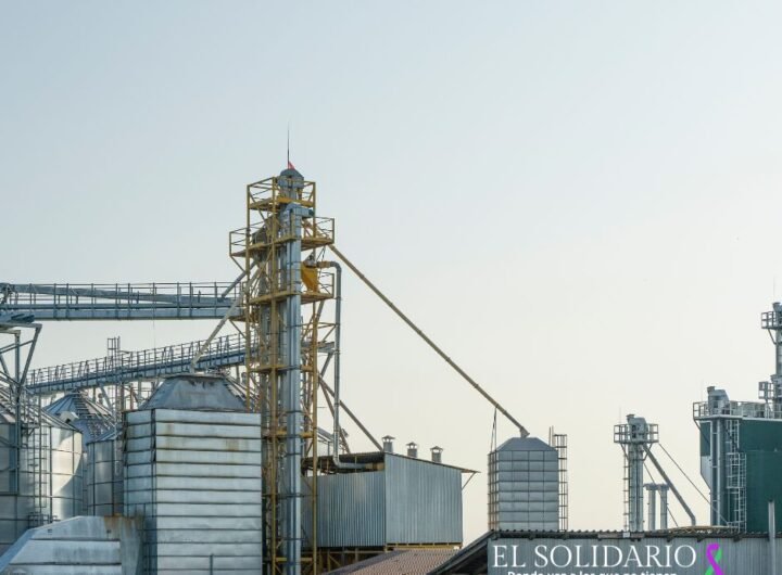 La administración de Carlos Mazón ha permitido la fabricación de biodiesel en la Comunidad Valenciana desbloqueando un trámite parado hacía años.