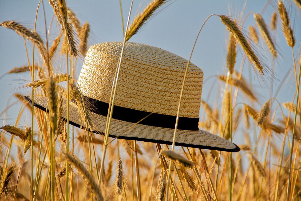 ¡Que no te sofoque el verano, consejos súper frescos!