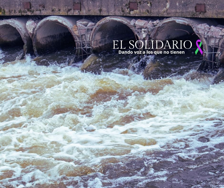 La organización Matter of Trust en Chile está utilizando cabello humano para limpiar y purificar el agua de lagos y arroyos. Esta solución ecológica y comunitaria está marcando la diferencia.