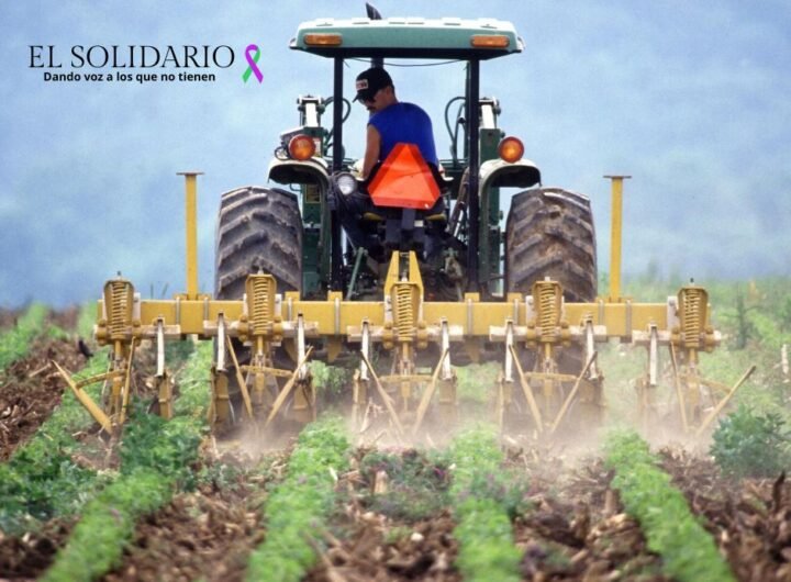 Descubre cómo la tecnología está transformando el campo andaluz. Más de 900 explotaciones agrícolas avanzan en digitalización y sostenibilidad gracias al programa CRECE-A de la Junta de Andalucía.