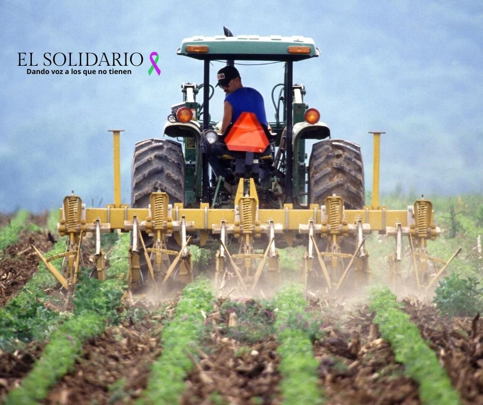 Descubre cómo la tecnología está transformando el campo andaluz. Más de 900 explotaciones agrícolas avanzan en digitalización y sostenibilidad gracias al programa CRECE-A de la Junta de Andalucía.