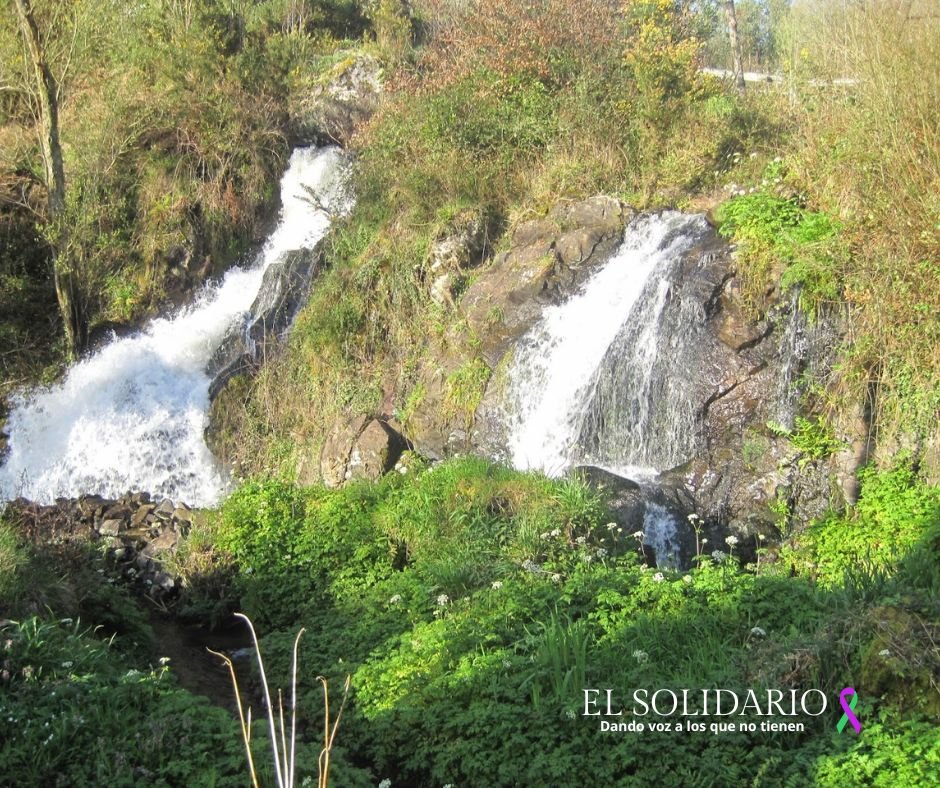 Cerdido se convierte en el epicentro del turismo sostenible con un innovador estudio liderado por la Universidad de A Coruña. Descubre cómo este proyecto transformará la región y promoverá prácticas turísticas responsables.