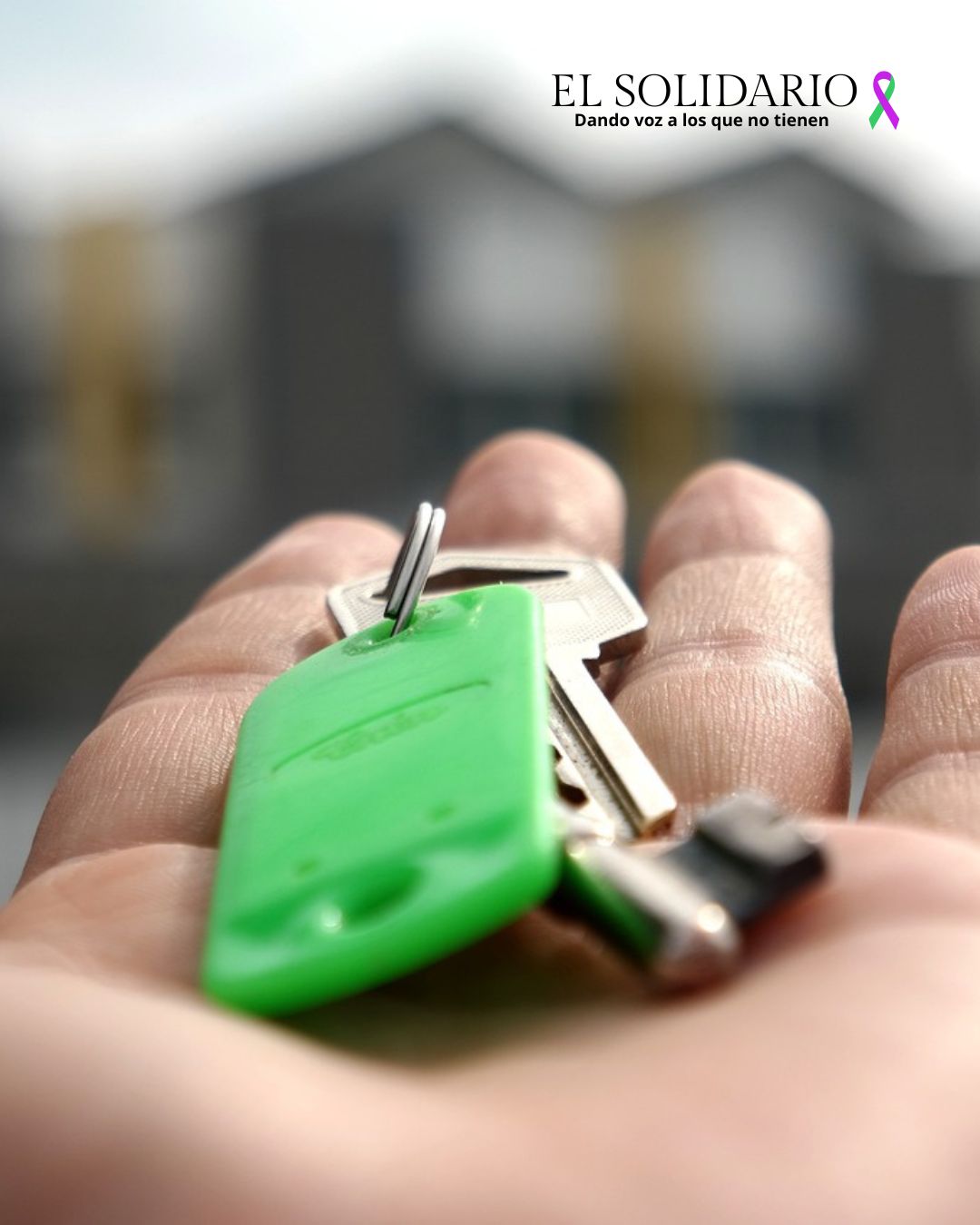 Disminuye oferta de vivienda en alquiler por miedo a impagos y daños