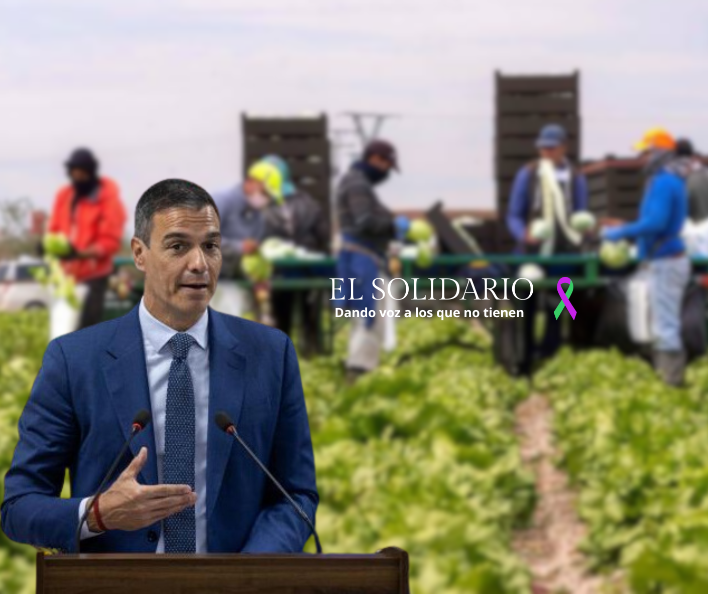 ¿En qué consiste la estrategia “Migración Circular” que propone Pedro Sánchez?