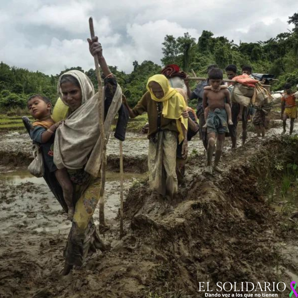 Refugiados rohingyas abandonan Birmania tras cruzar a Amtoli, en Bangladesh — Foto: NYT