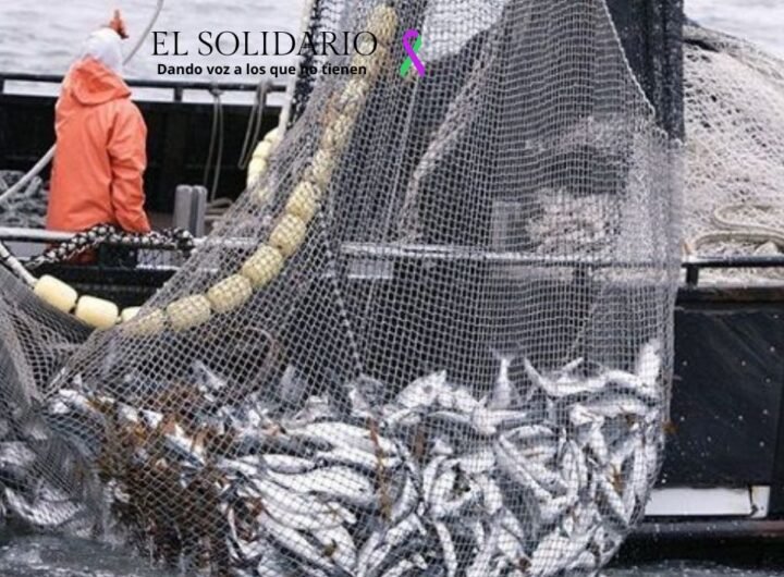 La Comisión Europea revisa el reglamento de 2012 para sancionar a países que permiten prácticas de pesca no sostenibles. Medidas incluyen prohibiciones de importación.