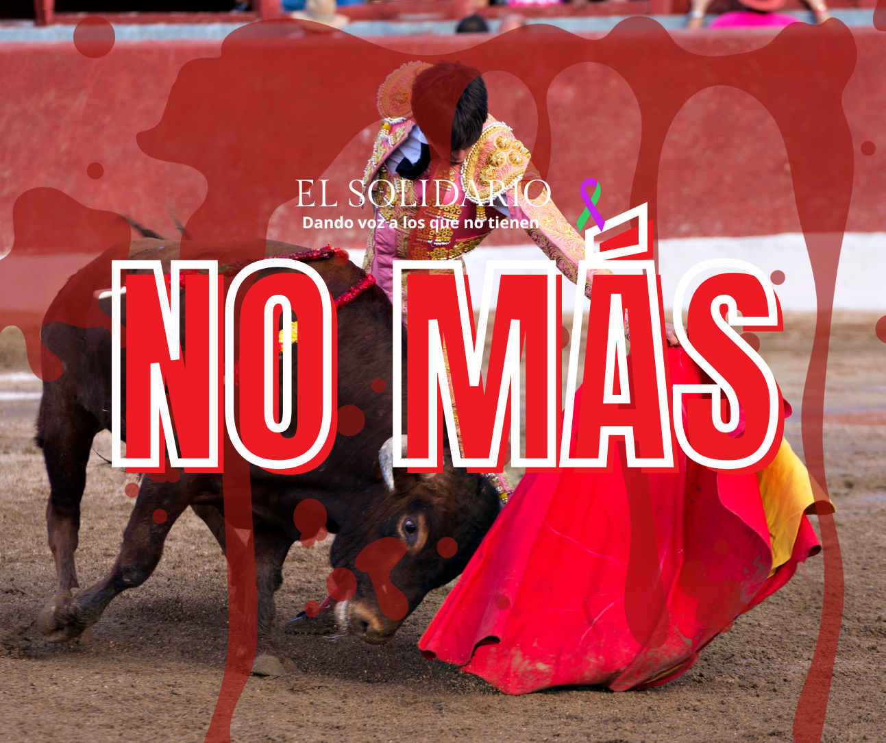 El Gobierno pone fin al aberrante Premio Nacional de Tauromaquia