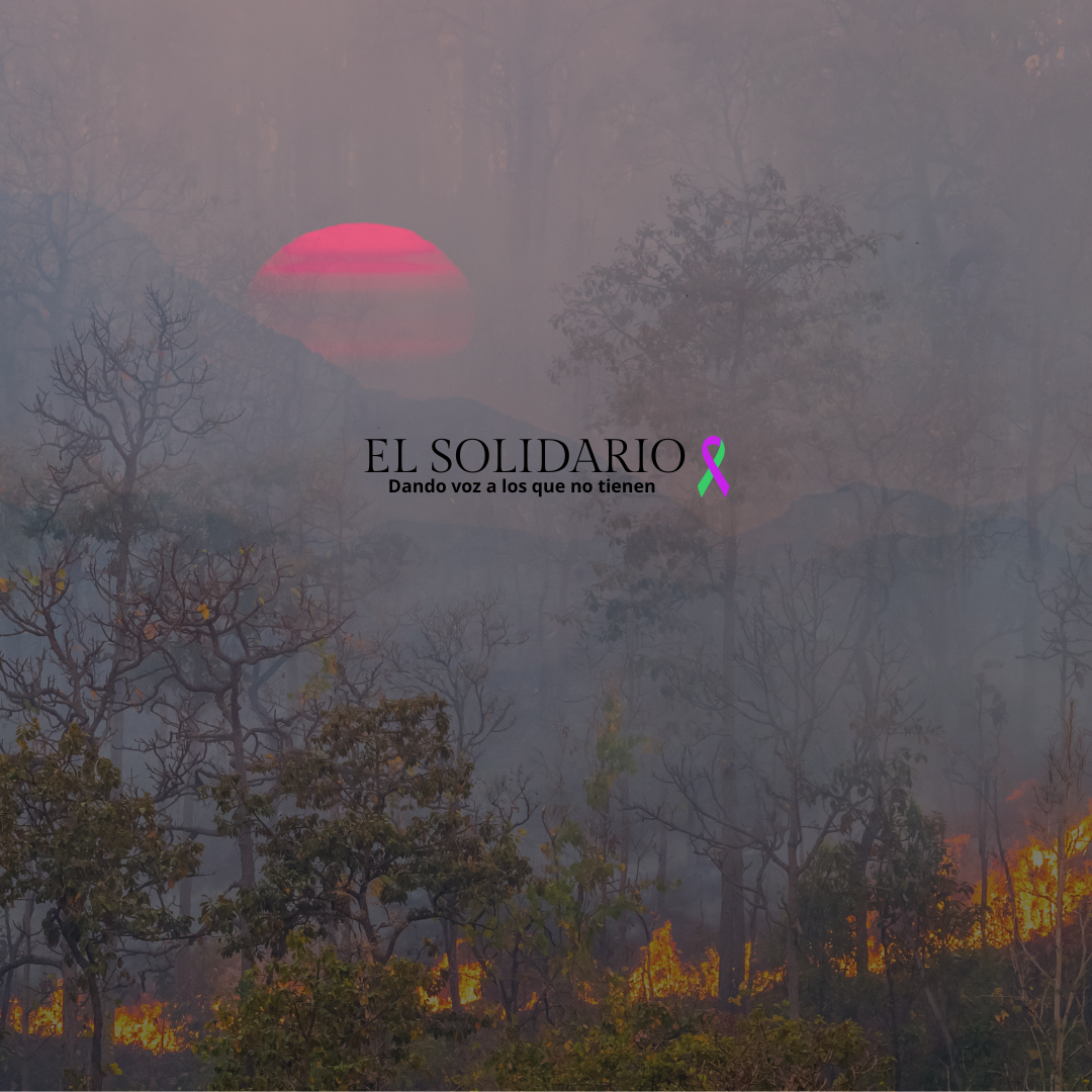 Sol rojo y manto de humo: Perú, Brasil y Bolivia sufren por incendios en la Amazonía