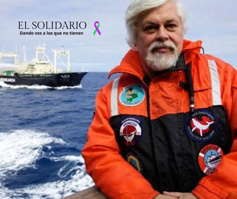 El tribunal de Groenlandia prolonga la prisión preventiva del activista Paul Watson hasta octubre. Watson, conocido defensor de ballenas y exfundador de Greenpeace, enfrenta una orden de arresto internacional emitida por Japón.