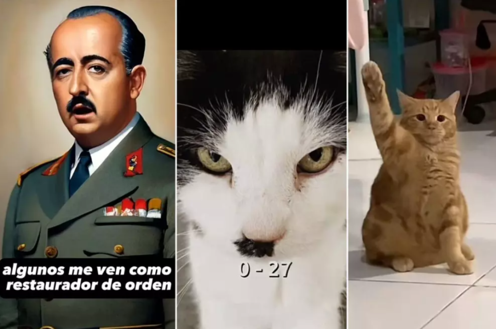 TikTok se convierte en un refugio para el nazismo y sus algoritmos permiten su propagación impune