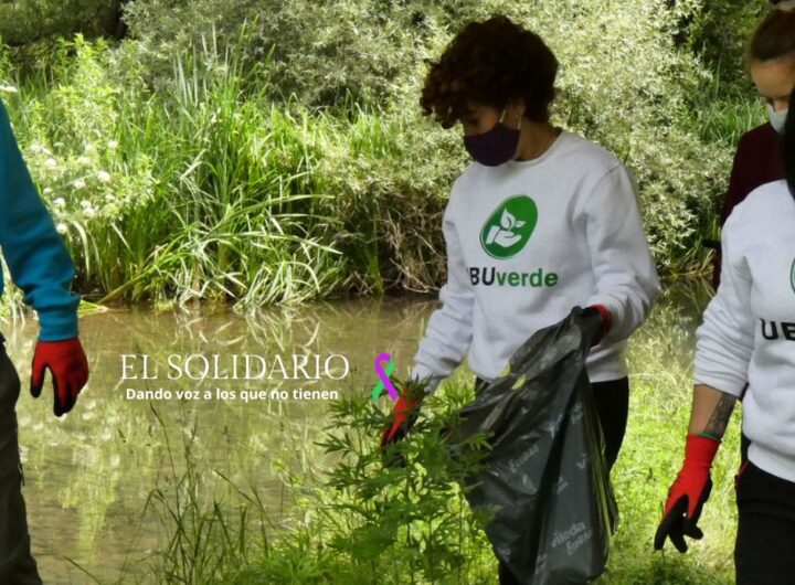 Descubre la programación de actividades ambientales de UBUverde para el curso 2024-25. Talleres, conferencias, cine-forum y rutas en la naturaleza.