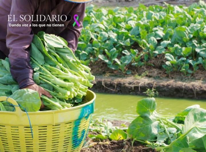 Papel crucial de las mujeres rurales en la agricultura, la seguridad alimentaria y la conservación del medio ambiente.