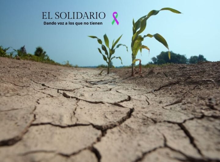 La laguna de Santa Olalla, la última laguna permanente de Doñana, se ha secado debido a la sequía y la sobreexplotación del acuífero.