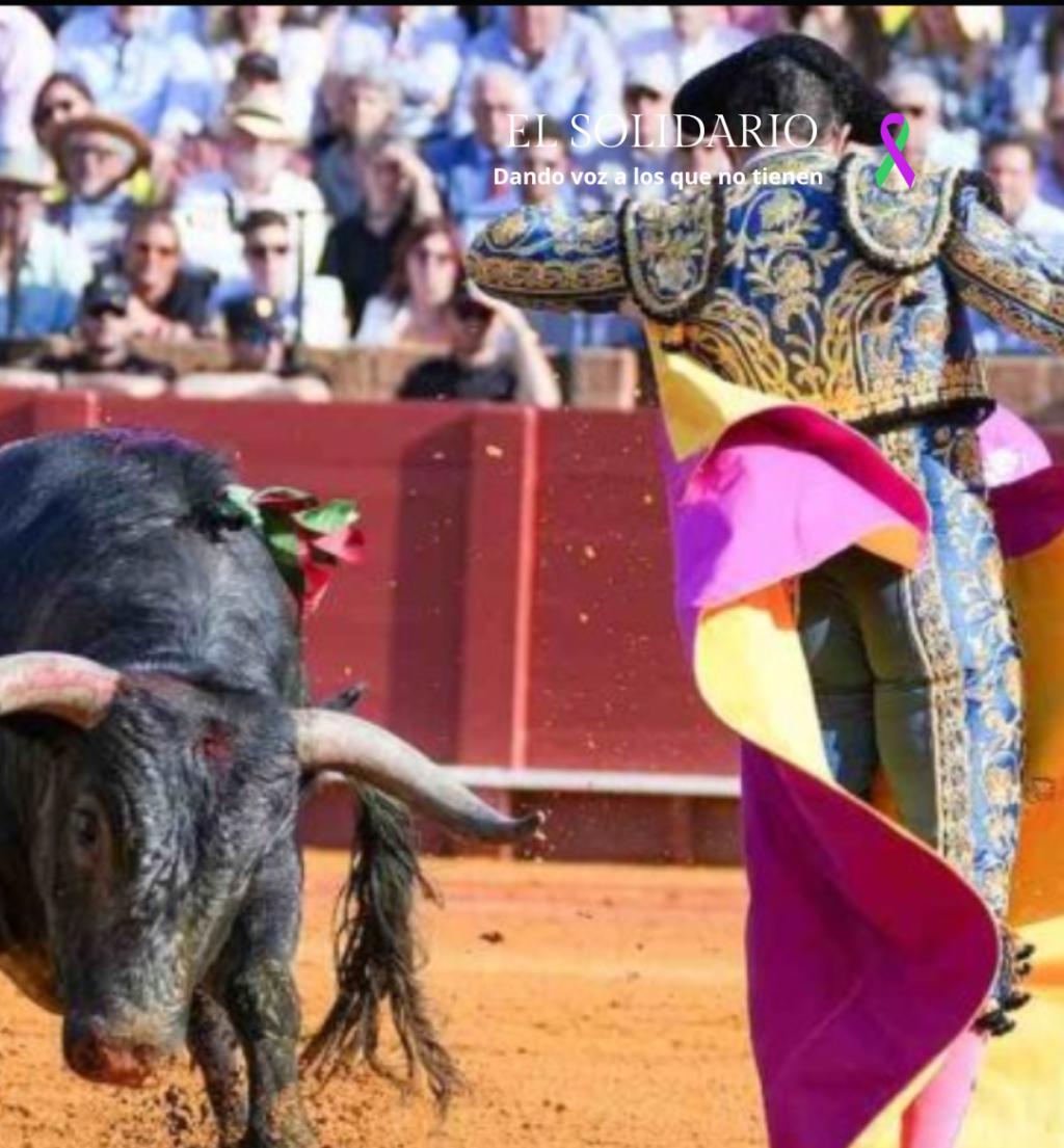 La Junta de Andalucía emplea millonarios fondos europeos para rescatar un canal taurino