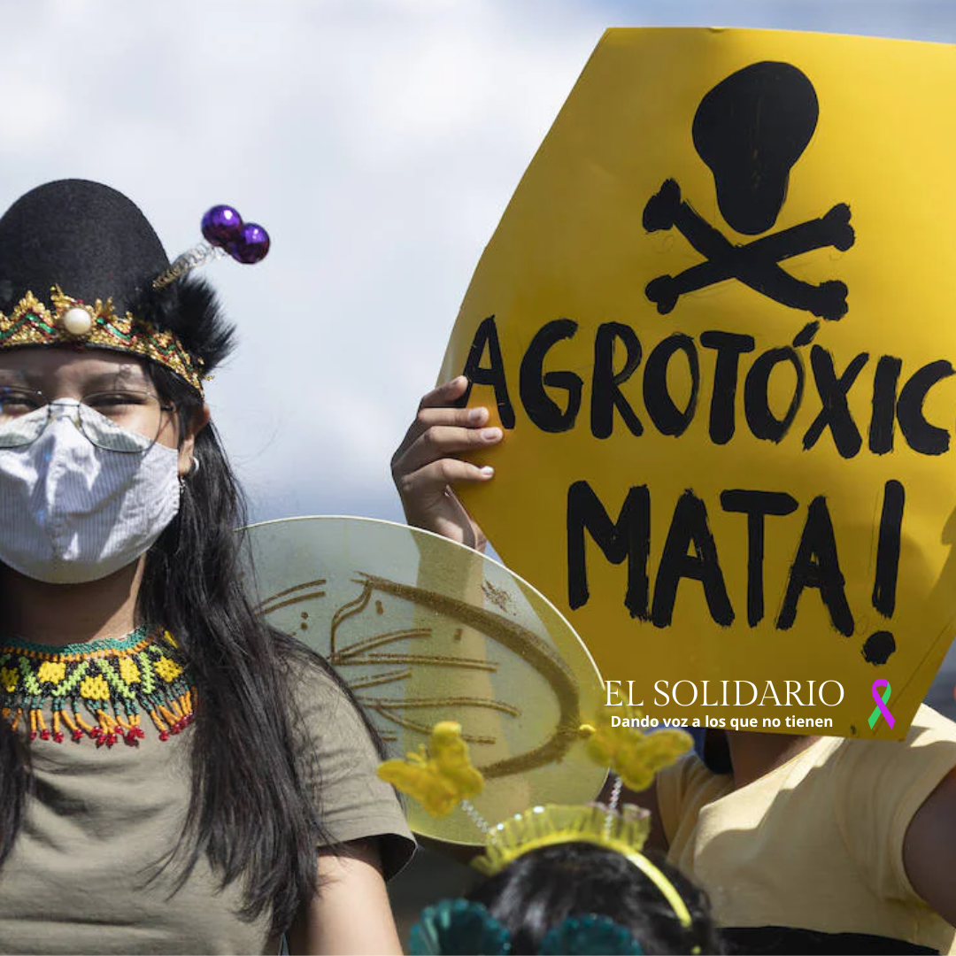 Organizaciones brasileñas exigen participación y medidas ambientales en la COP16