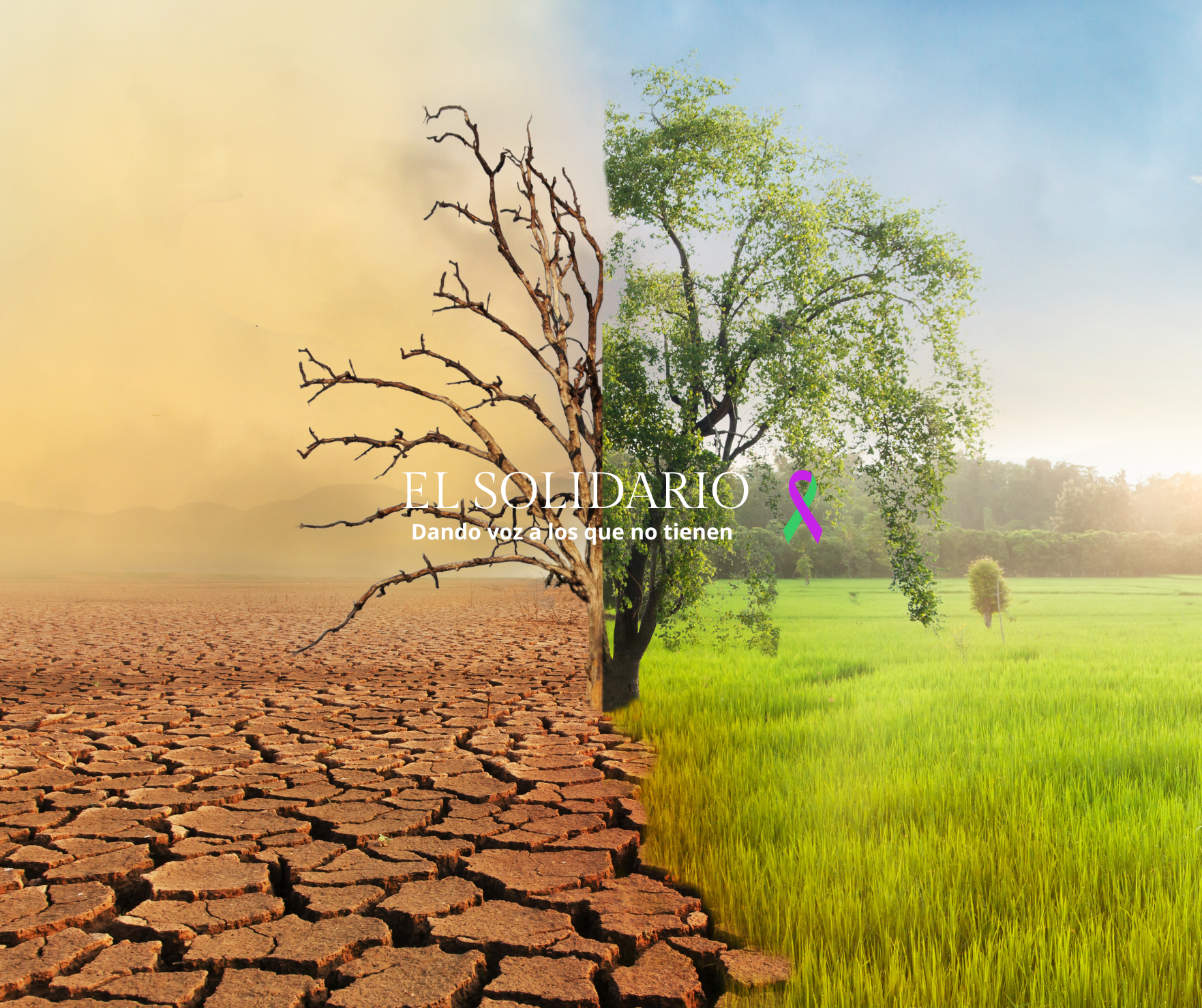 Día Internacional contra el Cambio Climático: el grito urgente por un futuro sostenible