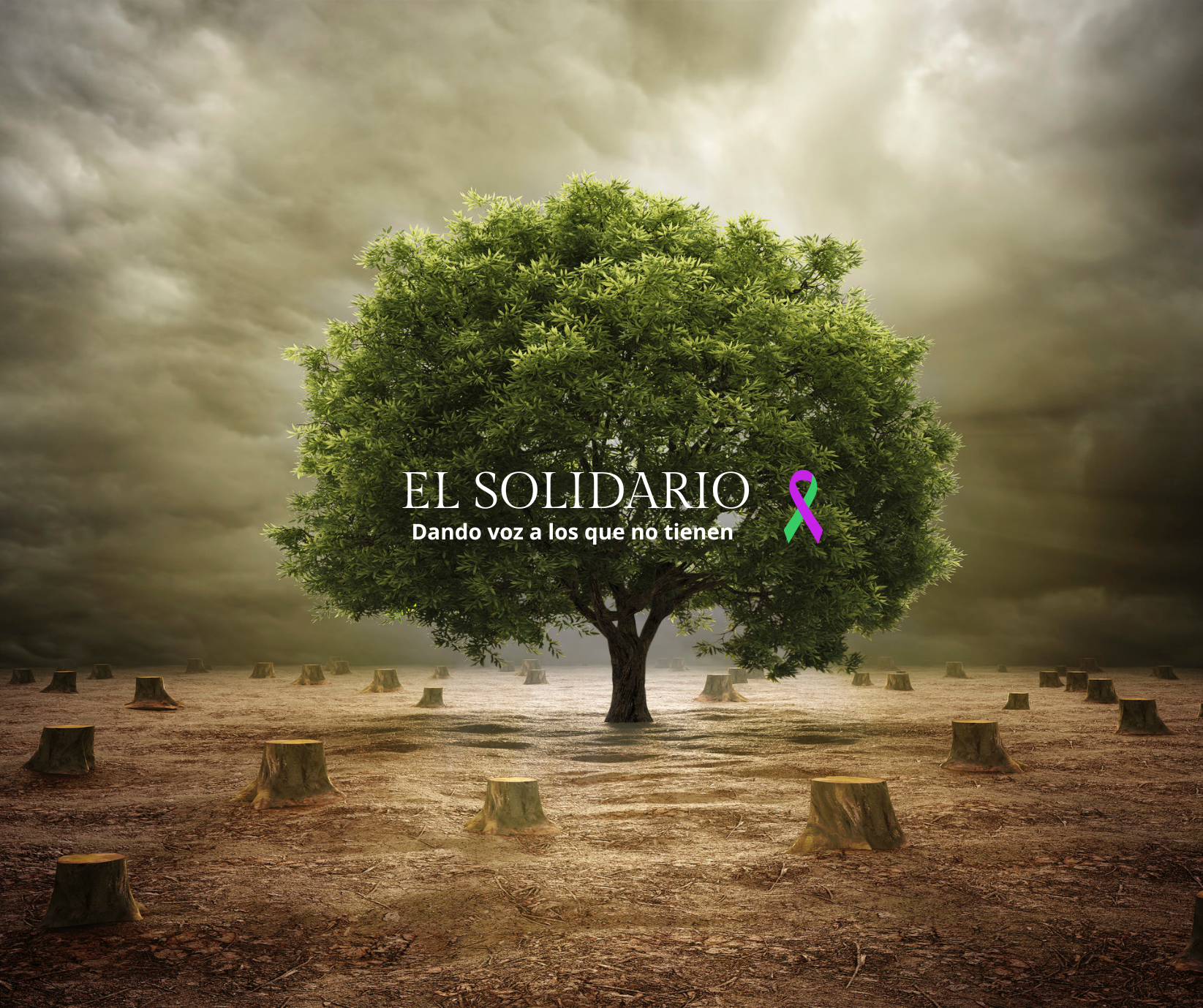 La Comisión Europea cede a la agroindustria y retrasa un año la Ley Contra la Deforestación