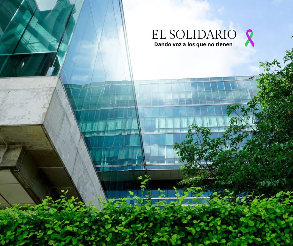El diseño urbano debe centrarse en la sostenibilidad y la protección del medio ambiente, según expertos reunidos en Bilbao.