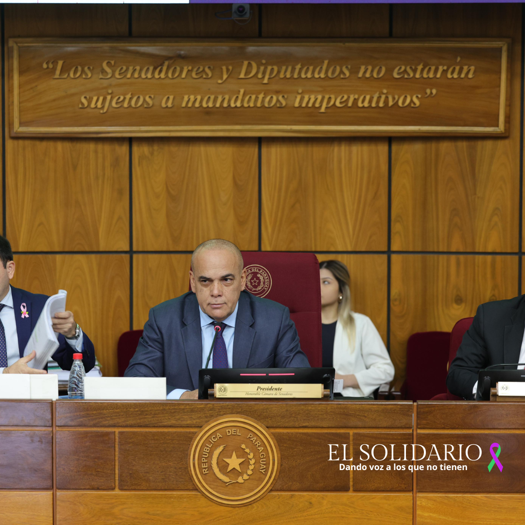 El Senado de Paraguay sanciona proyecto de Ley de control y transparencia para las ONG