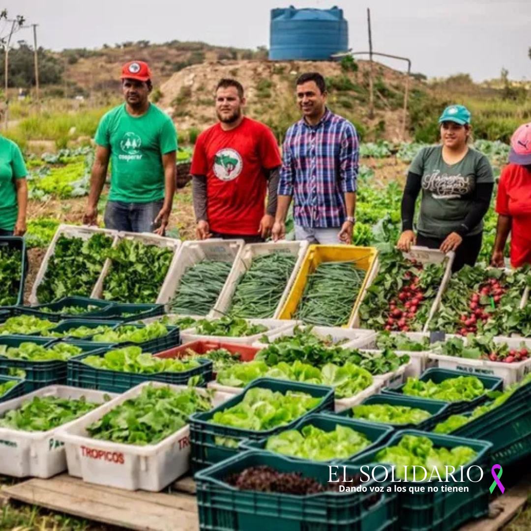 Vía Campesina convoca manifestación por la soberanía alimentaria global