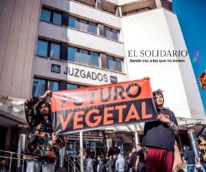 Activistas de Futuro Vegetal declaran ante el juez en un nuevo movimiento para criminalizar la protesta climática.