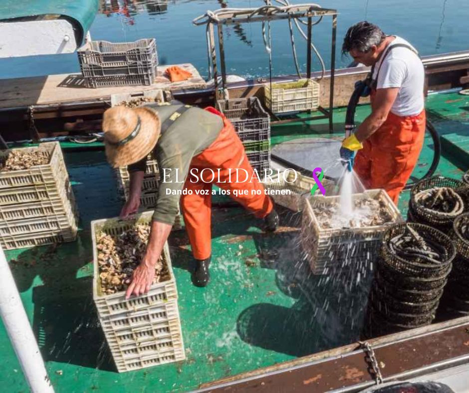 La Xunta de Galicia ha autorizado ayudas del Fondo Europeo para fortalecer la pesca artesanal, mejorando la competitividad y sostenibilidad del sector.