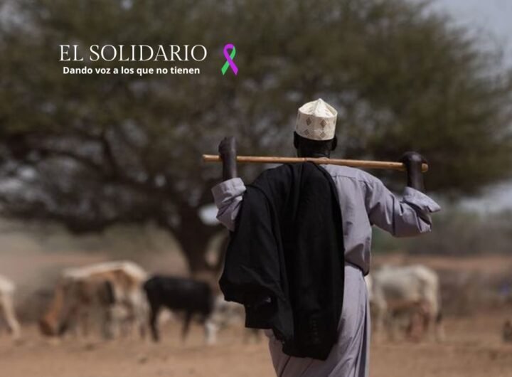 Un informe de la OMM advierte sobre la creciente escasez y estrés de los recursos hídricos mundiales debido al cambio climático, afectando a comunidades, agricultura y ecosistemas.