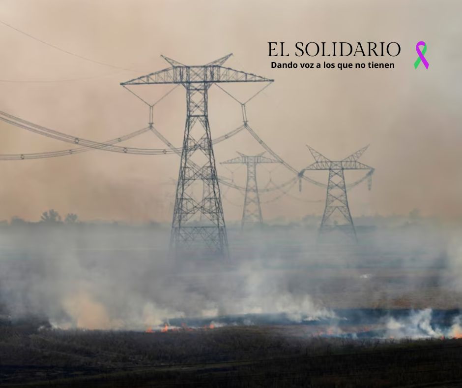 Nueva Delhi enfrenta niveles de contaminación severos con visibilidad reducida a 150 metros, implementando medidas de emergencia para proteger la salud pública.