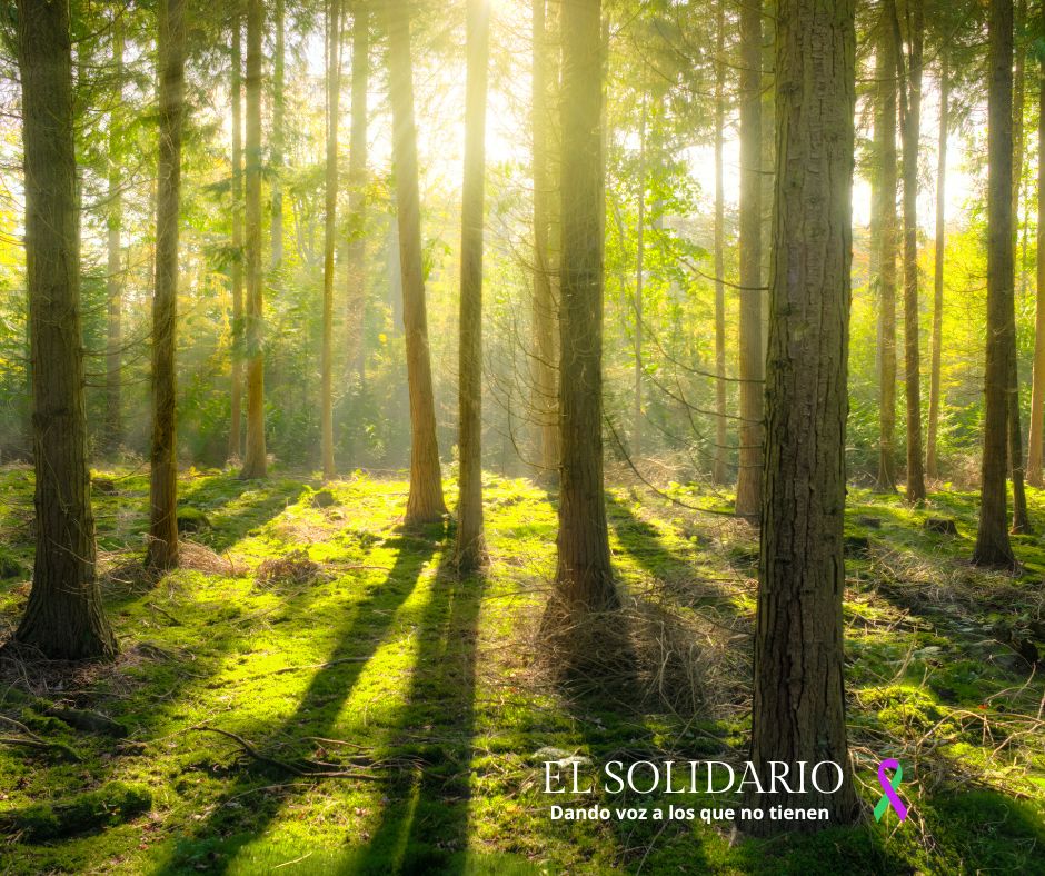 Gestión sostenible, tecnologías avanzadas, biodiversidad, IA y resiliencia climática en Castilla y León con fondos europeos.