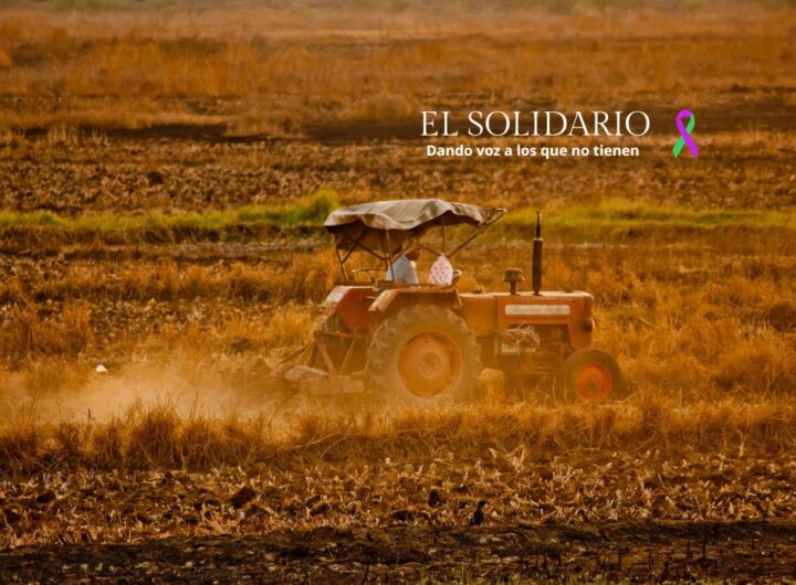 El Gobierno de Castilla-La Mancha impulsa la agricultura baja en carbono con una inversión de 92 millones de euros para mejorar la sostenibilidad del sector agropecuario y reducir las emisiones de carbono.