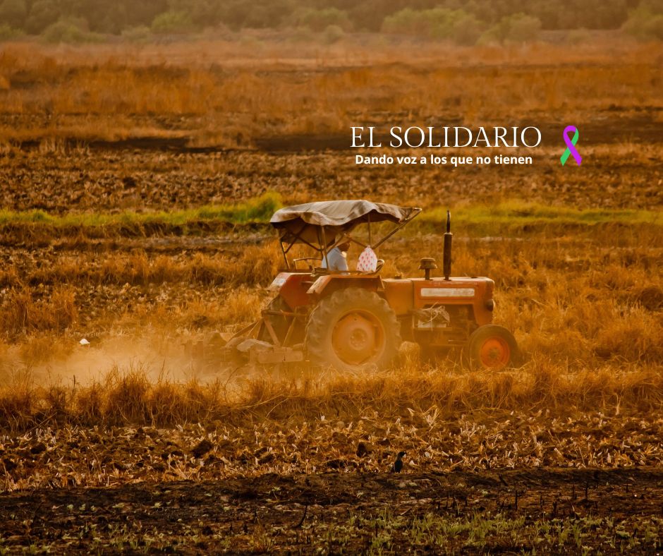 El Gobierno de Castilla-La Mancha impulsa la agricultura baja en carbono con una inversión de 92 millones de euros para mejorar la sostenibilidad del sector agropecuario y reducir las emisiones de carbono.