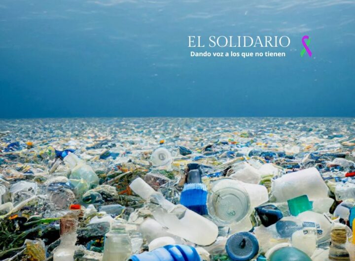 Científicos desarrollan el primer plástico que se descompone completamente en el agua del mar, ofreciendo una solución prometedora para reducir la contaminación por microplásticos.