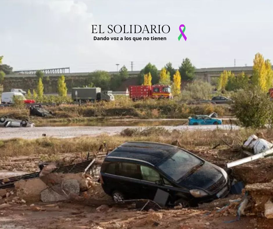 Ecologistas en Acción y Greenpeace han advertido sobre la gran cantidad de residuos que la DANA ha generado en La Albufera Valenciana.