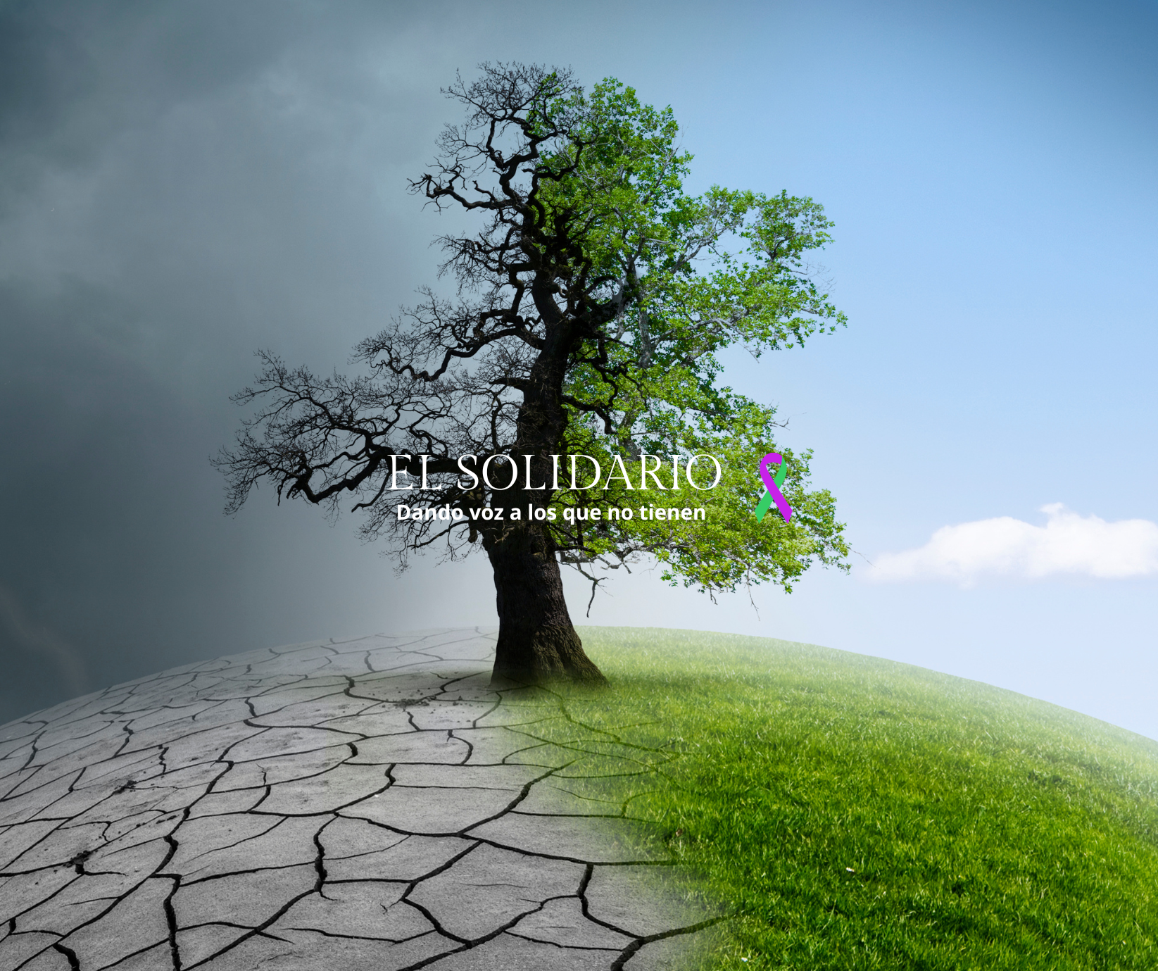 Urgente: 2024 es el año más cálido jamás registrado y ya sobrepasa el umbral crítico de 1,5 °c
