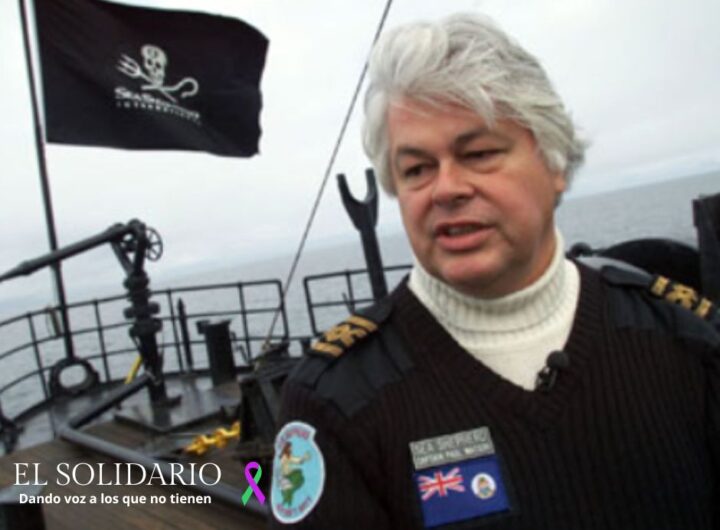 El tribunal de Groenlandia ha prolongado la prisión preventiva del activista Paul Watson hasta diciembre.