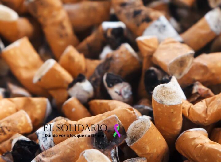 El Consejo de Ministros ha aprobado un Real Decreto que obliga a la industria del tabaco a asumir la responsabilidad del reciclaje de las colillas y financiar su limpieza.