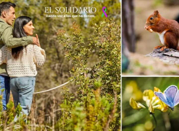 Los cementerios verdes y los nichos verdes están transformando estos espacios en áreas de conservación y memoria respetuosa con el medio ambiente.