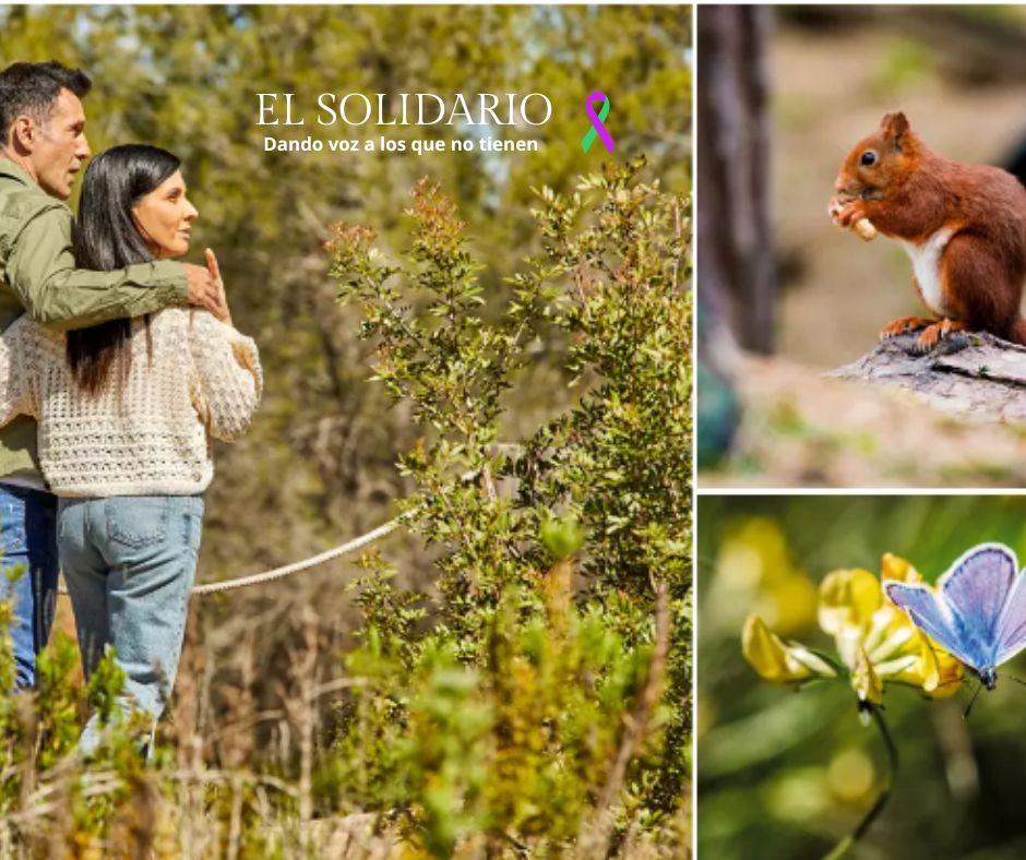 Los cementerios verdes y los nichos verdes están transformando estos espacios en áreas de conservación y memoria respetuosa con el medio ambiente.