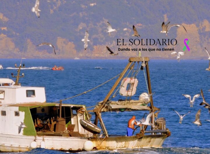 Descubre el proyecto para proteger los ecosistemas marinos de Galicia y Andalucía mediante la prevención y valorización de basuras marinas.