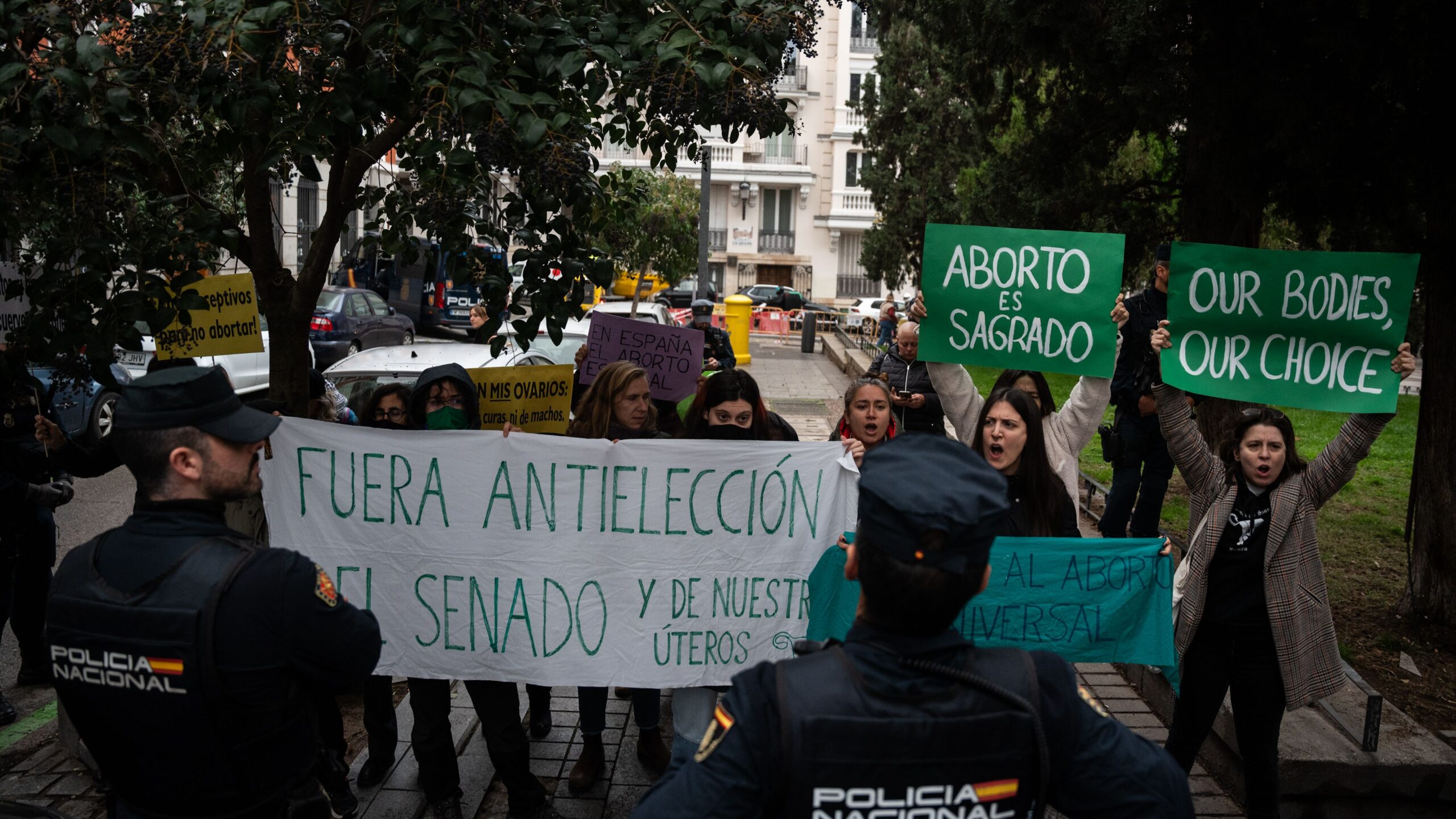 Auge de la ultraderecha en el Senado es un escenario de retroceso en derechos humanos en España