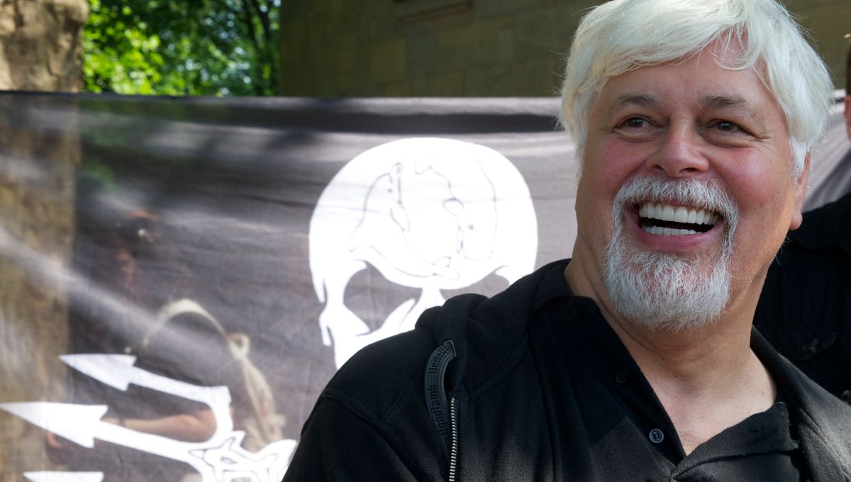 Paul Watson es liberado y no será extraditado a Japón 
