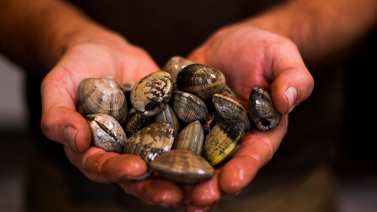 El cambio climático pone en crisis al Marisqueo y encarece la cena navideña