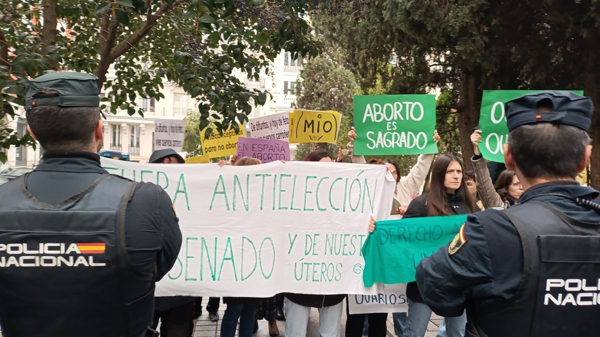 Los médicos podrán oponerse al aborto, total o parcialmente, sin aportar explicación alguna