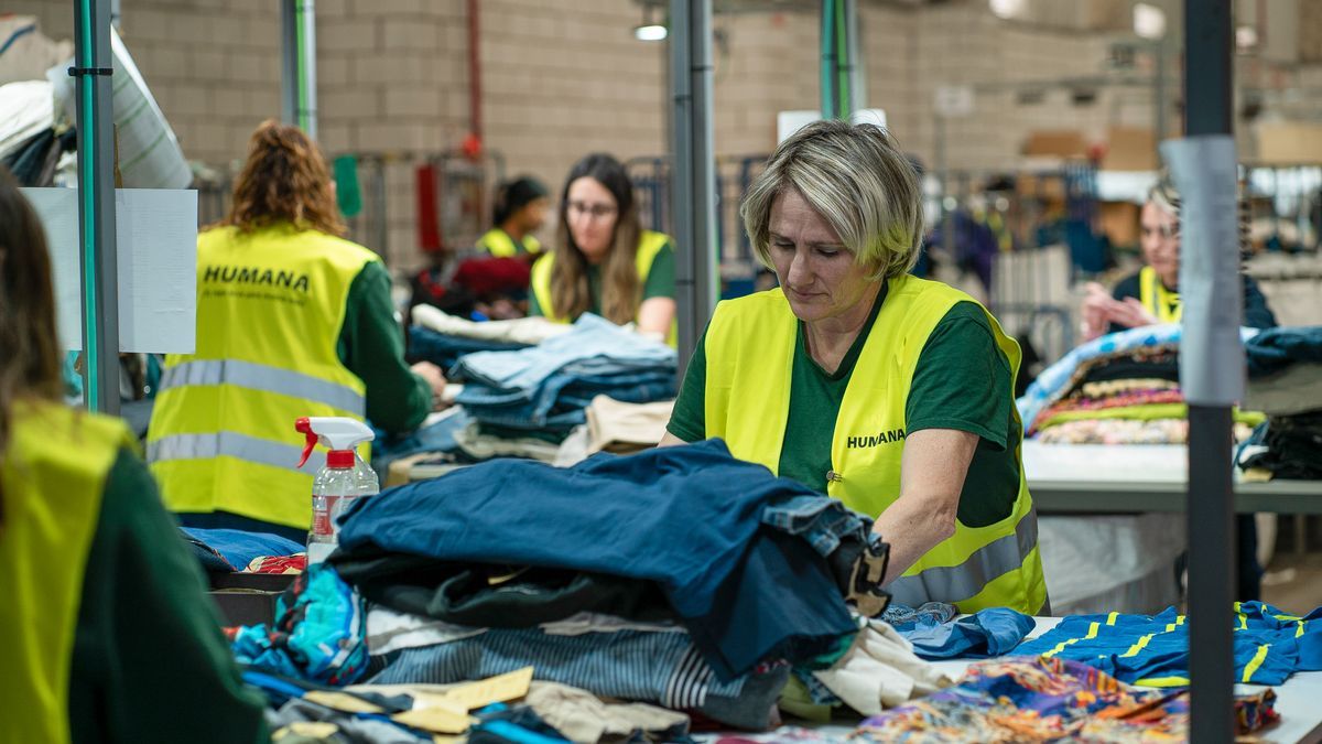 ¿Algodón o sintético? El dilema de la camiseta sostenible que perdura